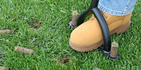 Proč dělají díry v trávníku. Portálový zážitek